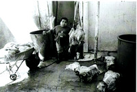 Mexican Slaughterhouse