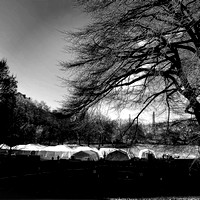 Medical Tents East Lawn